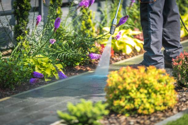 Le Mars, IA Pressure Washing Services Company