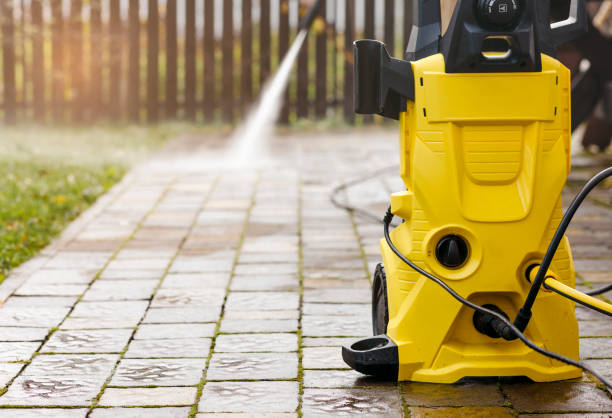 Best Roof Cleaning and Mildew Removal in Le Mars, IA